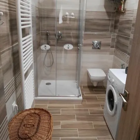 Apartment Belehradska *
