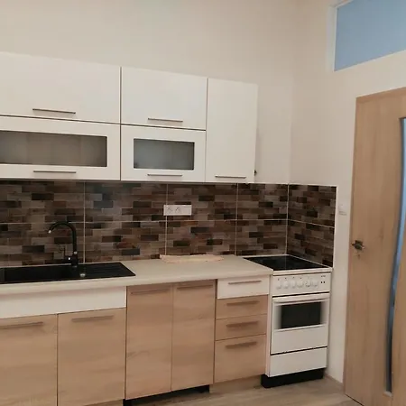 Apartamento Belehradska Praga